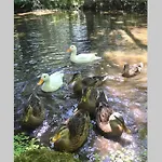 L'oree Des Genets - De Charme Proche Giverny Fontaine-sous-Jouy