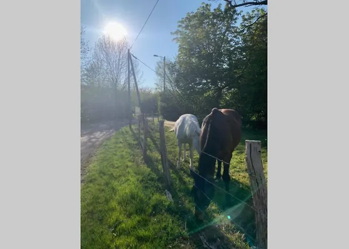 L'orée Des Genêts - De Charme Proche Giverny * Fontaine-sous-Jouy
