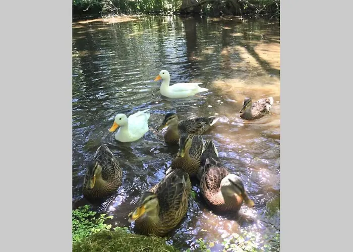 L'orée Des Genêts - De Charme Proche Giverny Fontaine-sous-Jouy